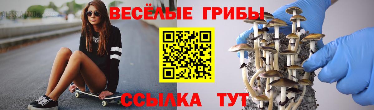 Большой Камень  Псилоцибиновые грибы Cubensis  Вход с VPN 